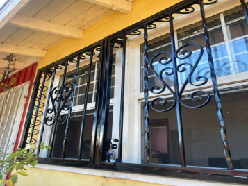 Ornamental window guards